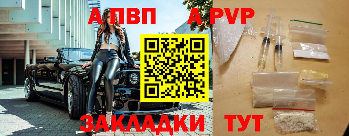 A-PVP СК КРИС Урус-Мартан