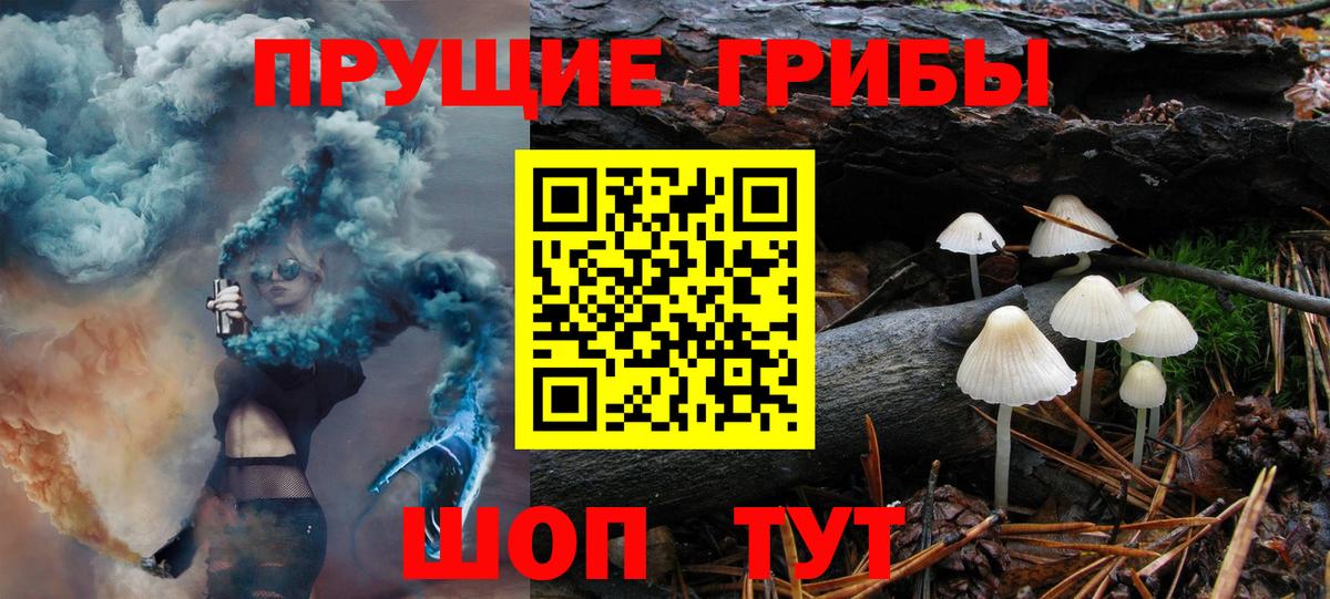 Галлюциногенные грибы мицелий  магазин    Урус-Мартан  Вход с VPN 